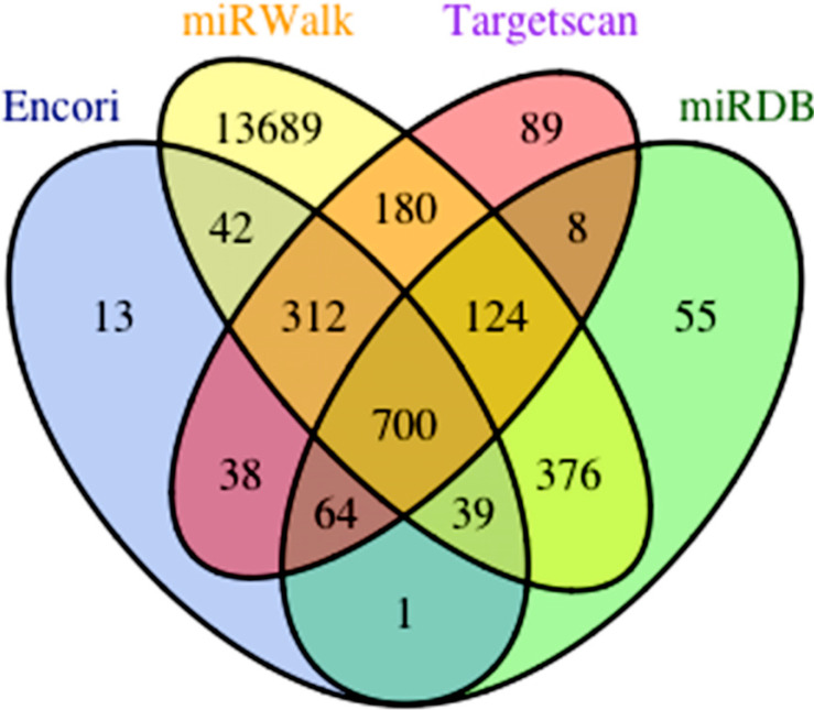 Gastric Cancer Growth Modulated By Circsntb2 Mir-6938-5p G0s2 And Pdcd4 