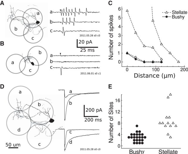 Figure 5.