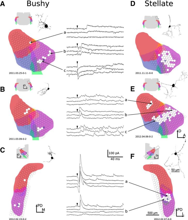 Figure 6.