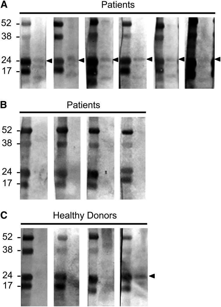 Figure 7.