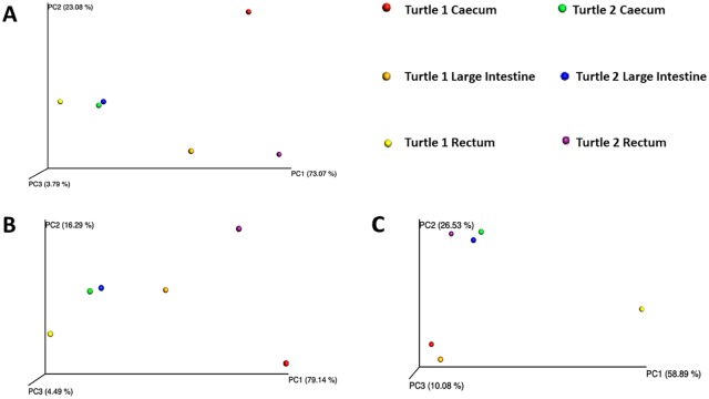 Figure 7.