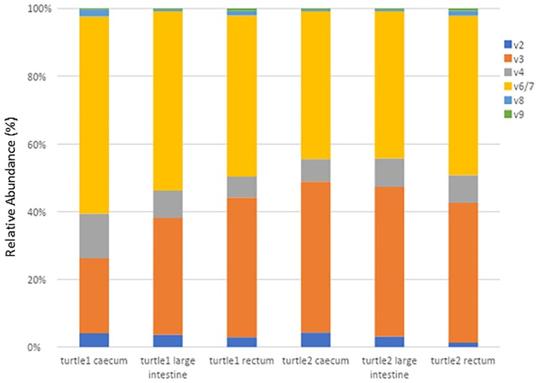 Figure 6.