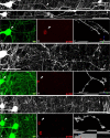 Figure 12.