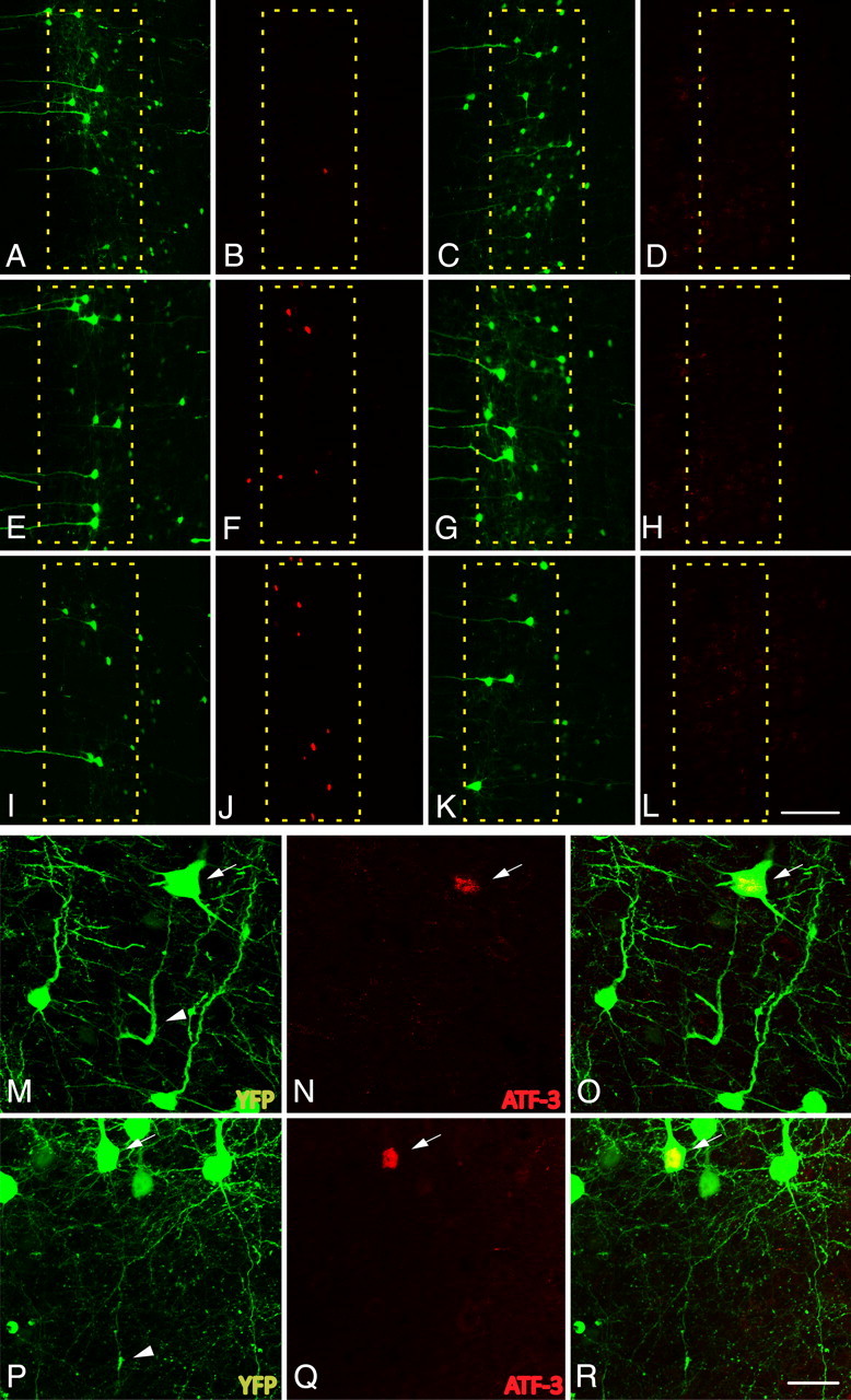 Figure 10.