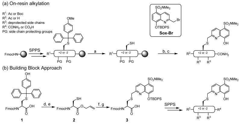 Scheme 1