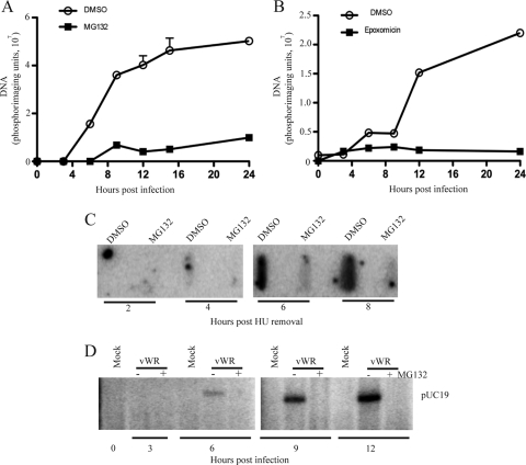 FIG. 7.