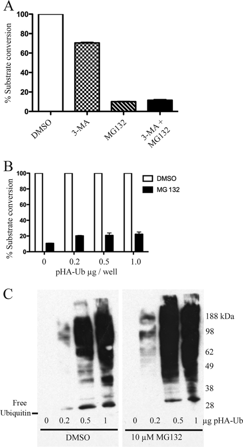 FIG. 9.