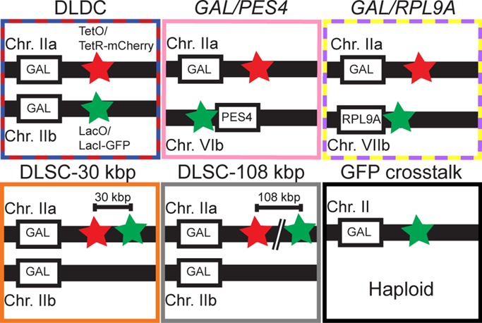 FIGURE 2: