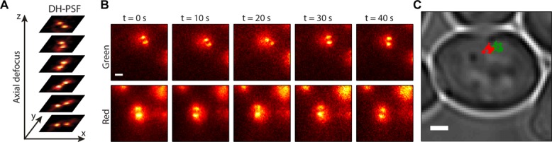 FIGURE 1: