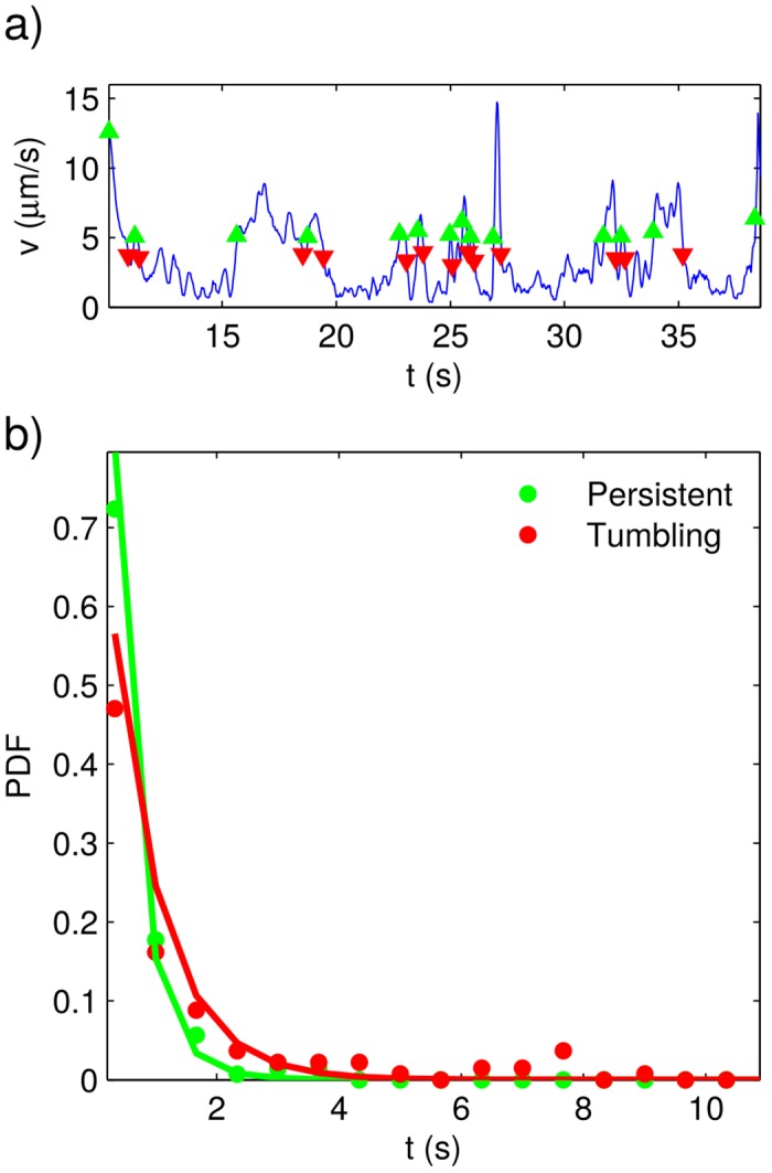 Fig 5