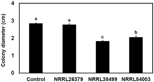 Figure 6