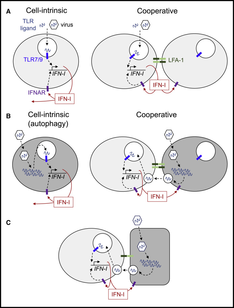 Figure 3