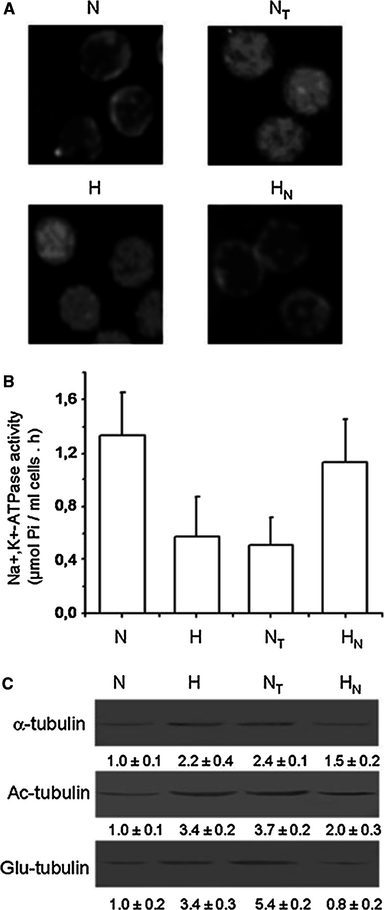 Fig. 10