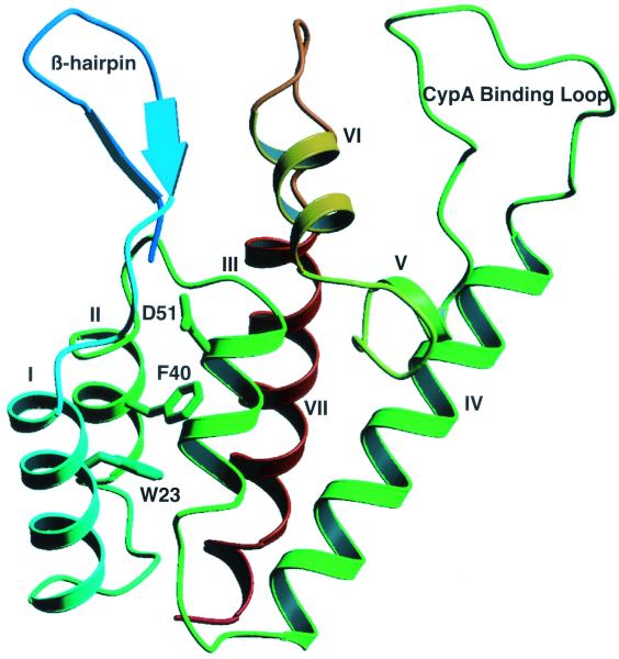 FIG. 1