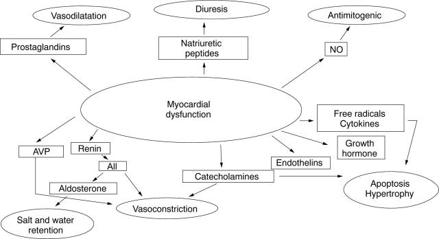 Figure 2  