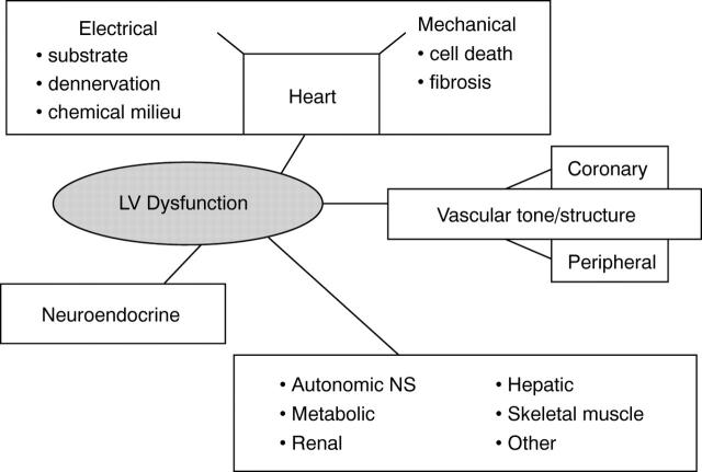 Figure 1  