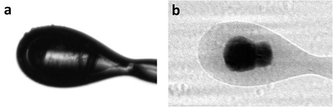 Fig. 8.2