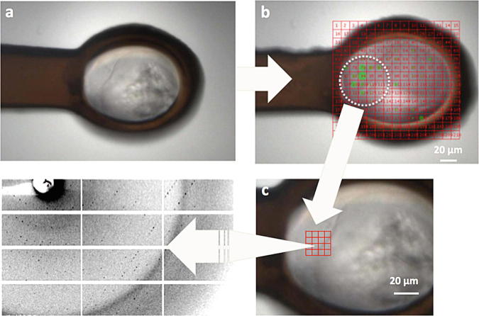 Fig. 8.4