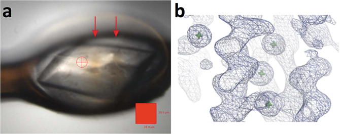 Fig. 8.6