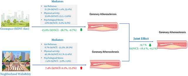 graphic file with name nihms-1747730-f0001.jpg