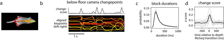 Extended Data Figure 1: