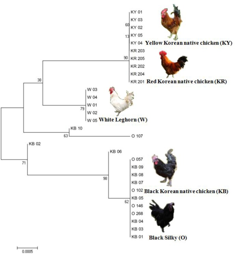 Figure 2.