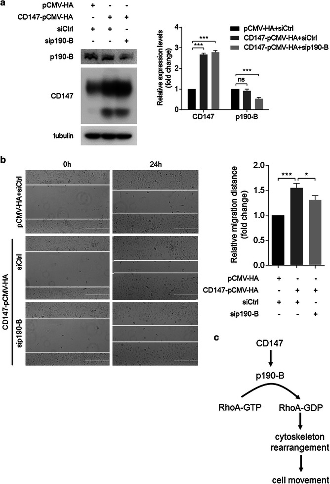 Fig. 6