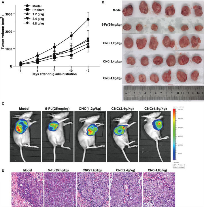 Figure 6