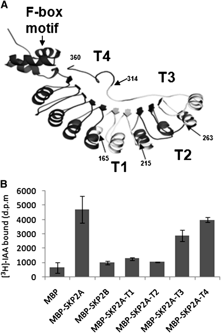 Figure 4.