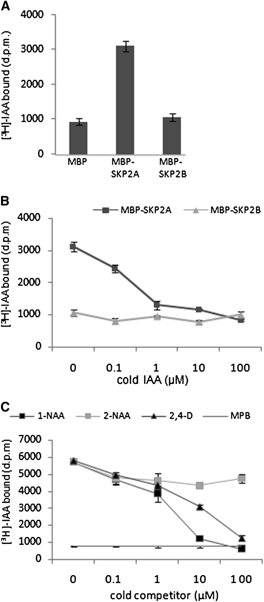 Figure 3.