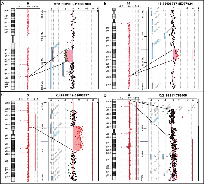 Figure 1