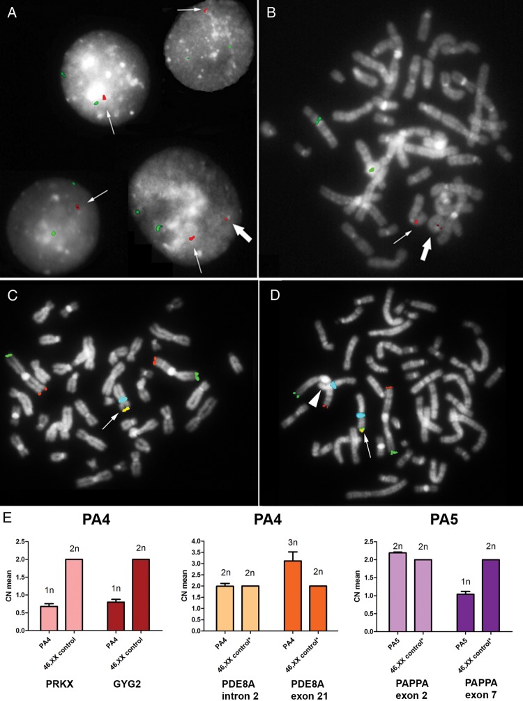 Figure 2