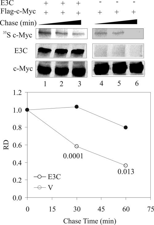 FIG. 5.