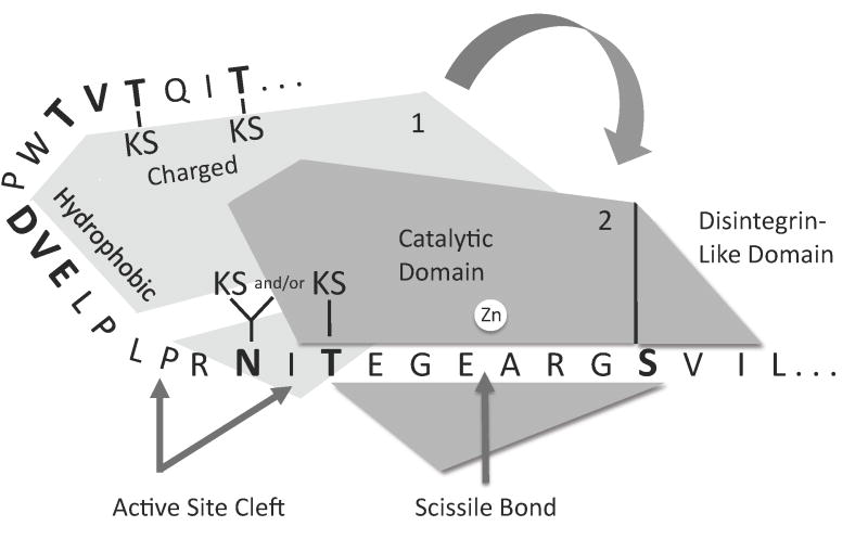 Fig. 9