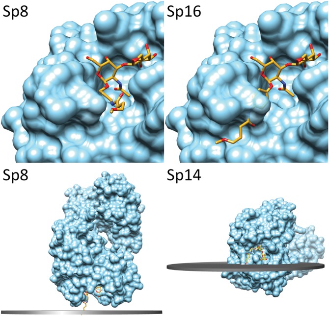 Fig. 4.