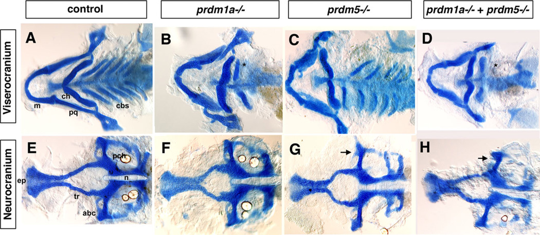 Fig. 5