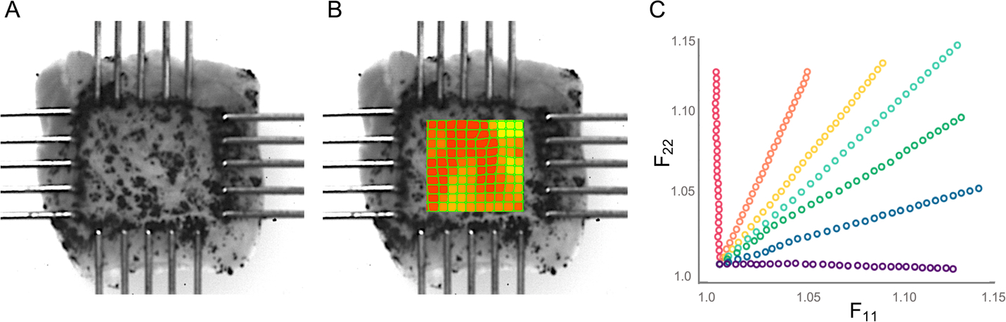 Fig. 3