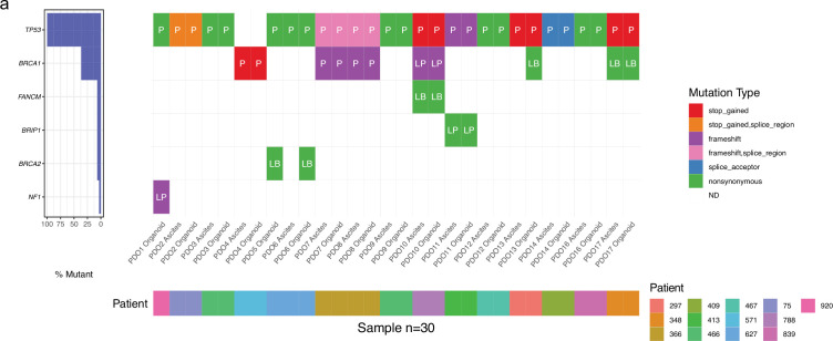 Figure 1—figure supplement 3.