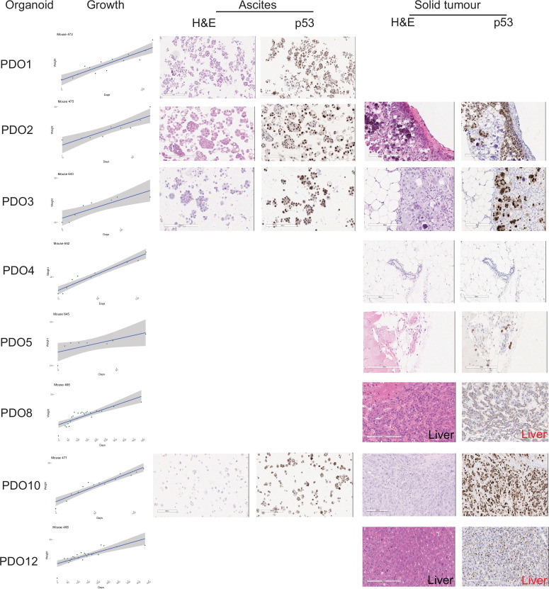 Figure 1—figure supplement 5.