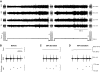FIG. 1.