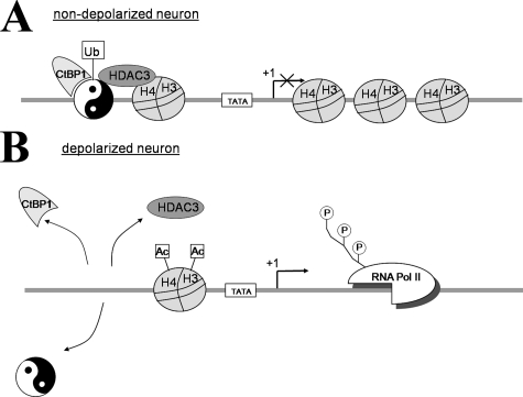 FIGURE 9.