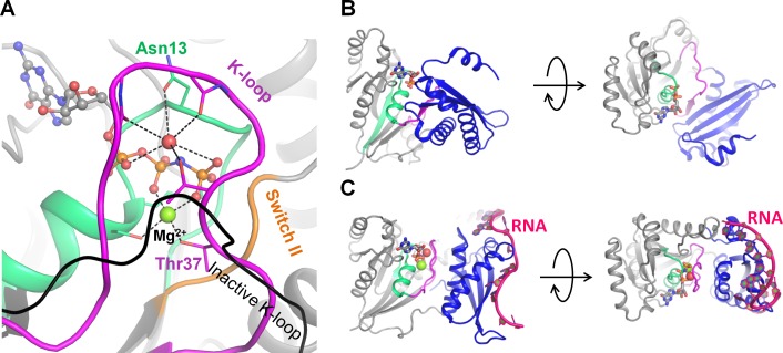 Figure 6—figure supplement 3.