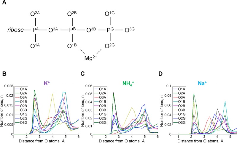 Figure 2—figure supplement 1.