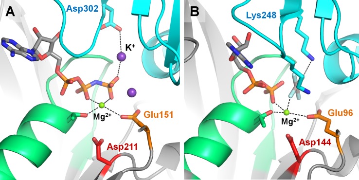 Figure 6—figure supplement 4.