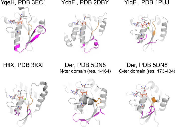 Figure 6—figure supplement 1.