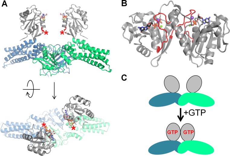 Figure 6—figure supplement 2.