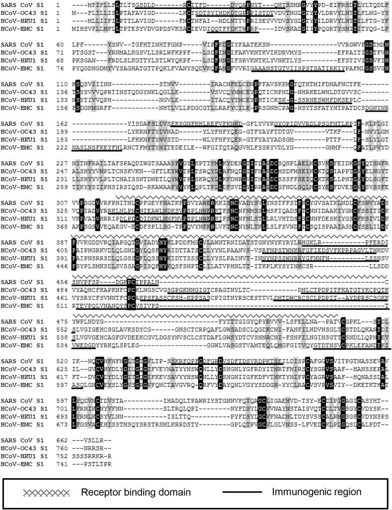 Figure 2