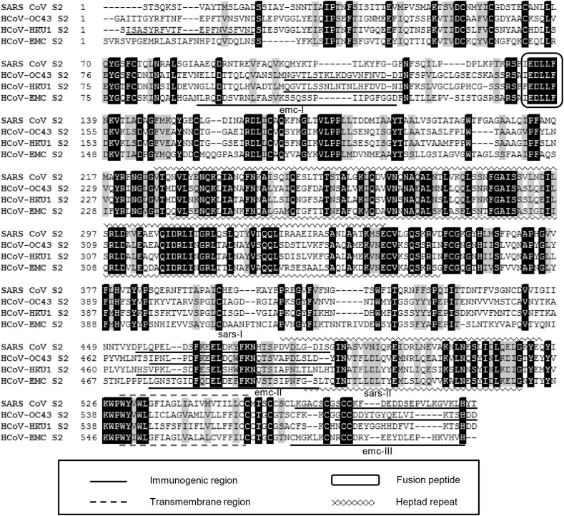 Figure 3