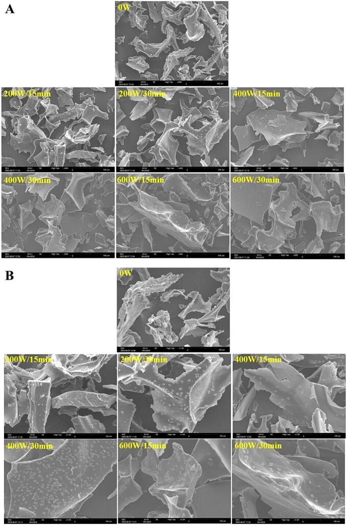 Fig. 9