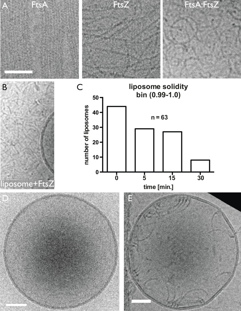 Figure 3—figure supplement 2.